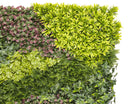Jardín Vertical COSTA 100×100