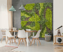 Planta de interior