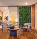 Planta de interior