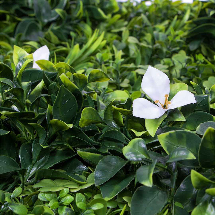 Jardín Vertical EXOTIC 100×100