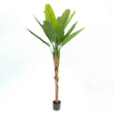 Planta Artificial Platanera 180cm