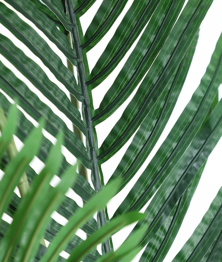 PLANTA ARECA - Flores y macetas decorativas - El Workshop - plástico