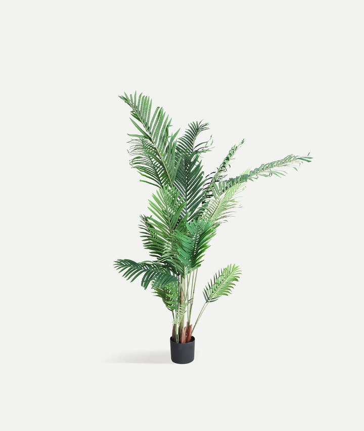 PLANTA ARECA - Flores y macetas decorativas - El Workshop - plástico