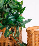 Set of 2 ARTEAGA pots