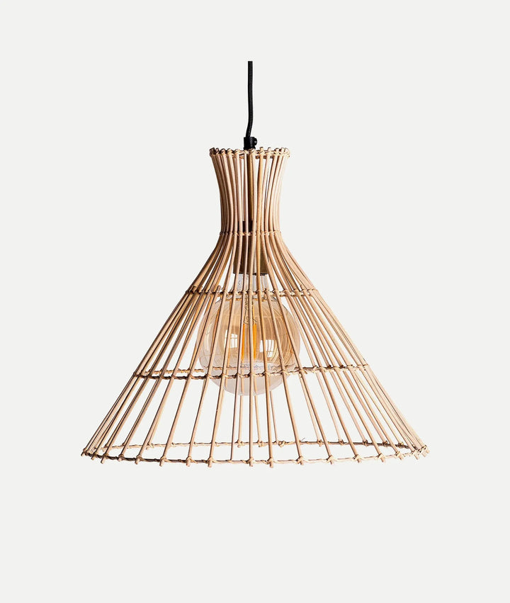 ARTEAGA ceiling lamp