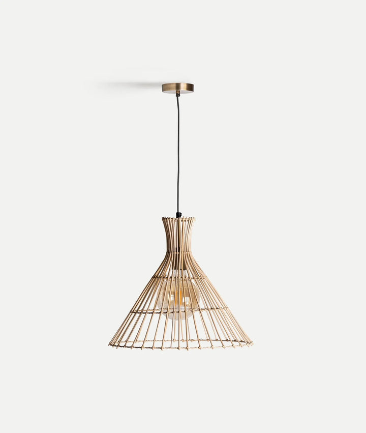 ARTEAGA ceiling lamp