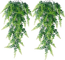 Hanging fern X 2 units