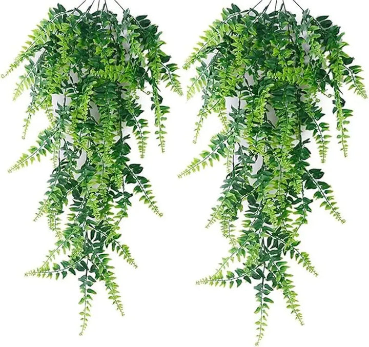 Hanging fern X 2 units