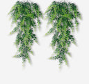Hanging fern X 2 units