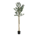 Planta Olivo de estilo clásico - Flores y macetas decorativas - El Workshop-Plástico