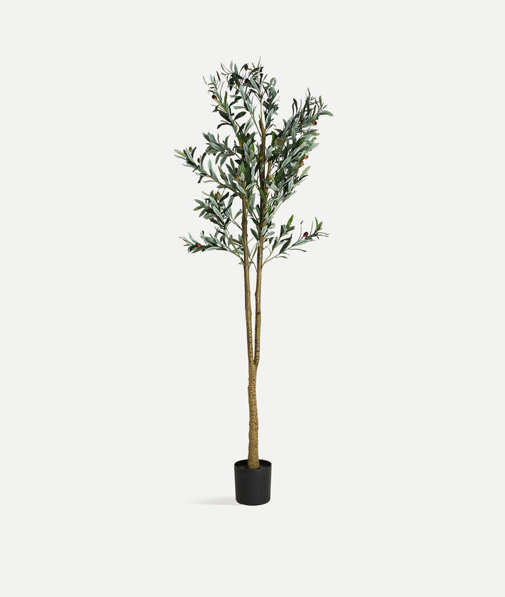 Planta Olivo de estilo clásico - Flores y macetas decorativas - El Workshop-Plástico