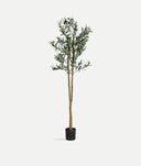 Planta Olivo de estilo clásico - Flores y macetas decorativas - El Workshop-Plástico