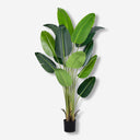 Artificial Bird of Paradise Plant 160