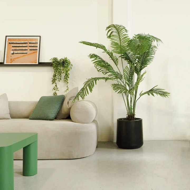 Planta artificial Palmera Areca 180 - Planta de interior - El Workshop - Verde