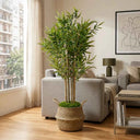 Planta Artificial Bambú 120cm + Cesto 27cm + Musgo