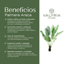 Planta artificial Palmera Areca 210, detalle