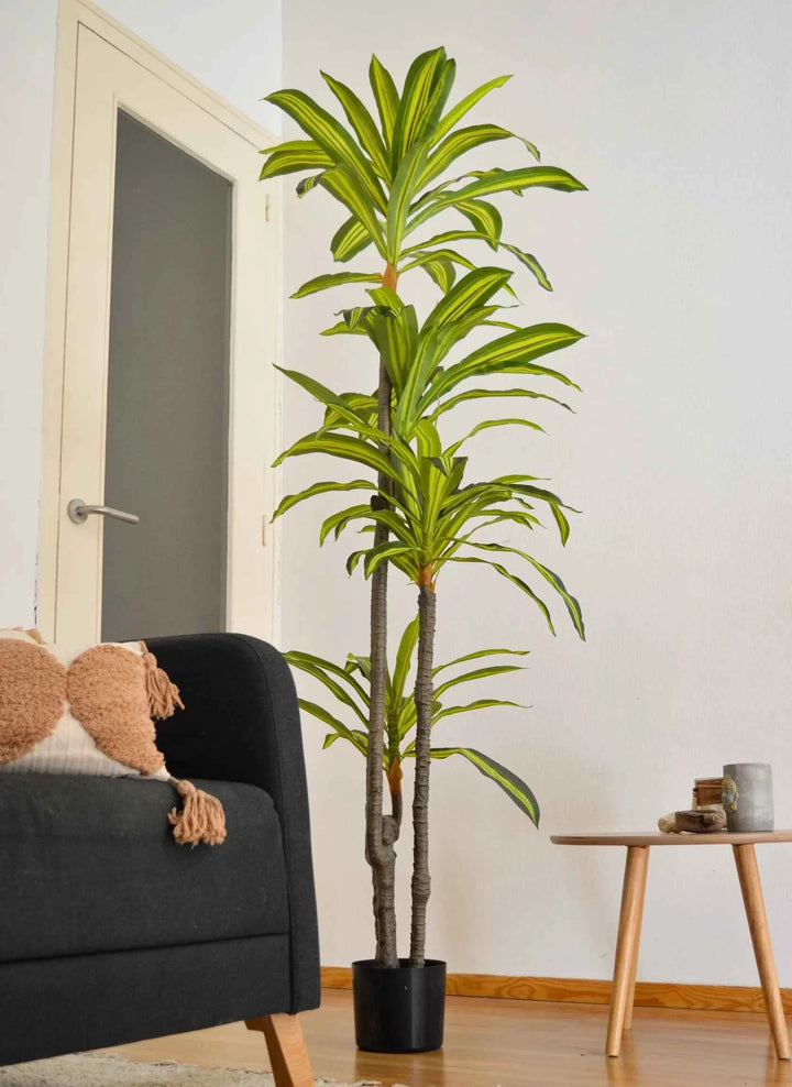 Planta Artificial Dracena 180cm