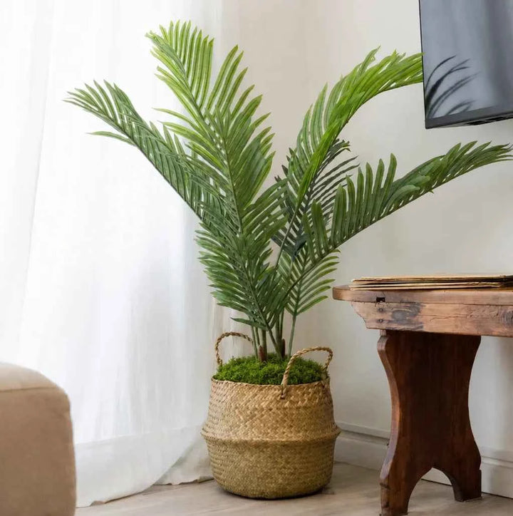 Pack Palmera Areca 110cm + Cesto Maceta 27cm + Musgo