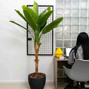 Planta Artificial Platanera 180cm