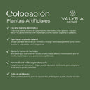 Planta artificial Palmera Areca 210, guía de colocación