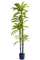 Planta Artificial Dracena 180cm
