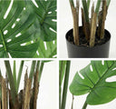 Pack Monstera 120 cm + Cesto Mimbre 27 cm