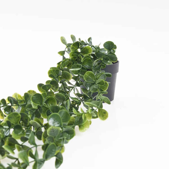Planta Artificial Colgante con Maceta – Dischidia 110cm