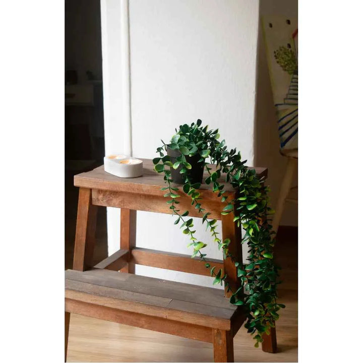 Planta Artificial Colgante con Maceta 63 cm