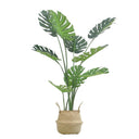 Pack Monstera 120cm+ Cesto Maceta 27cm + Musgo | El Workshop