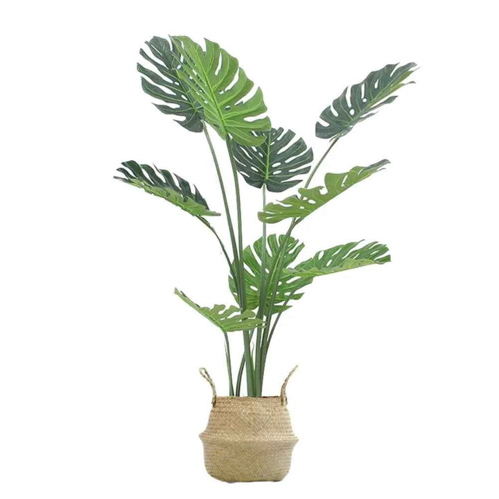 Pack Monstera 120 cm + Cesto Mimbre 27 cm