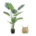 Pack Monstera 120 cm + Cesto Mimbre 27 cm
