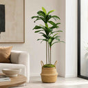 Planta Artificial Dracena 160cm + Cesto Maceta 32cm + Musgo