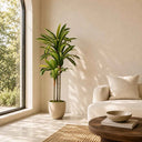 Planta Artificial Dracena 120cm