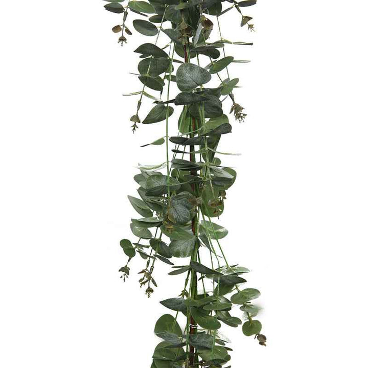 Planta colgante Guirnalda De Eucalipto