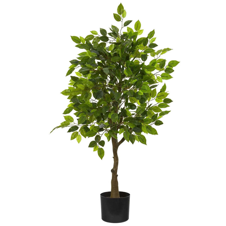 Pack Palmera Areca 160 cm + Ficus 150 cm