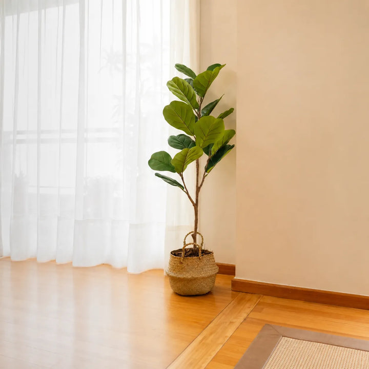 Planta artificial Ficus Hoja de Violín 120 en ambiente decorado (2)