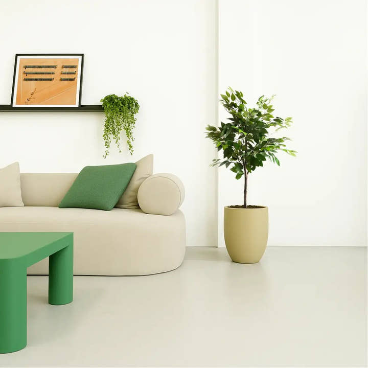 Planta artificial Ficus 105 - Planta de interior - El Workshop - Verde