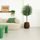 Artificial plant Ficus 180