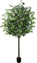 Artificial plant Ficus 180