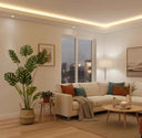 Pack Monstera 160 cm + Cesto Mimbre 32 cm