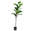 Planta artificial Ficus Hoja de Violín 120, detalle