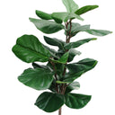 Planta artificial Ficus Hoja de Violín 120, detalle (2)