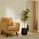 Planta artificial Ficus Hoja de Violín 120, foto de producto