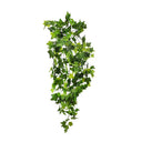 Planta Colgante HIEDRA