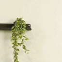Planta Artificial Colgante con Maceta – Lapachillo 110cm