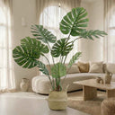 Pack Monstera 120 cm + Cesto Mimbre 27 cm