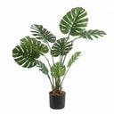 Pack Monstera 120cm+ Cesto Maceta 27cm + Musgo | El Workshop