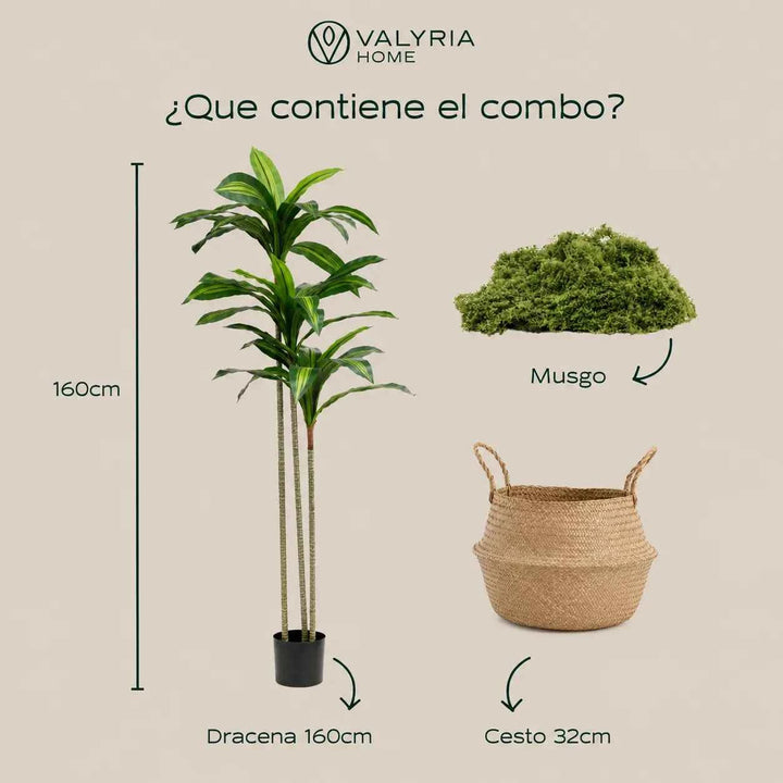 Planta Artificial Dracena 160cm + Cesto Maceta 32cm + Musgo