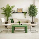 Pack Palmera Areca 180 cm + Ficus 180 cm