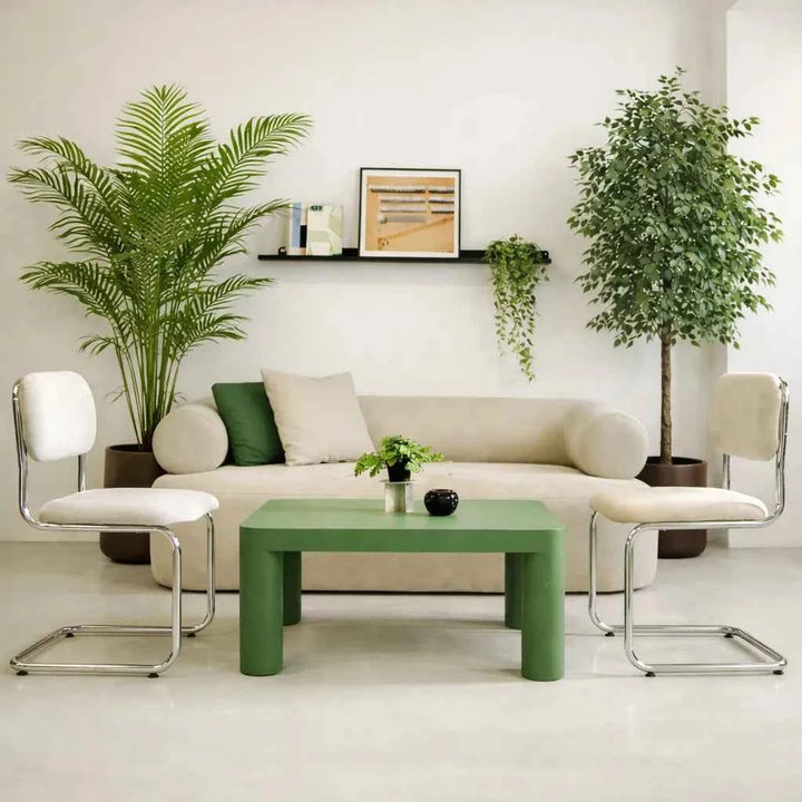 Pack Palmera Areca 180 cm + Ficus 180 cm